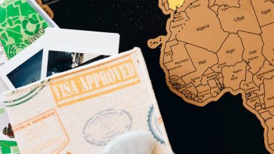 passport and polaroid pictures